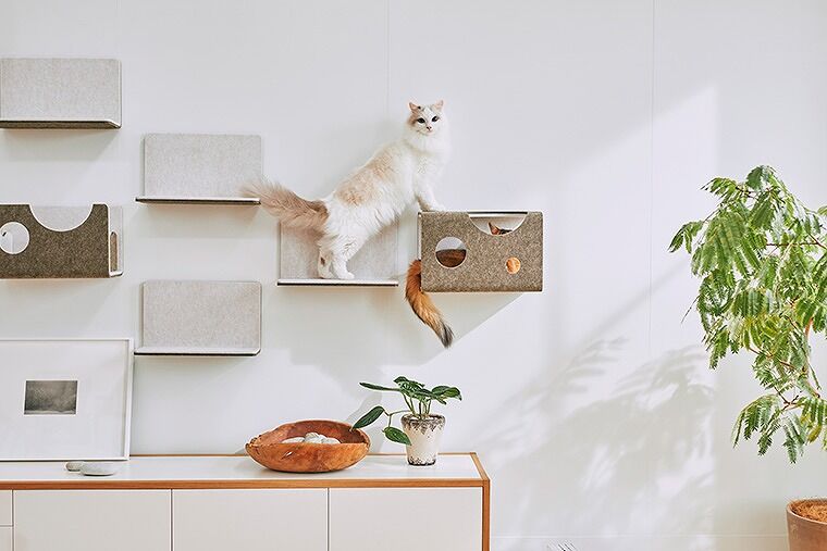 24catwall3_a__original.jp