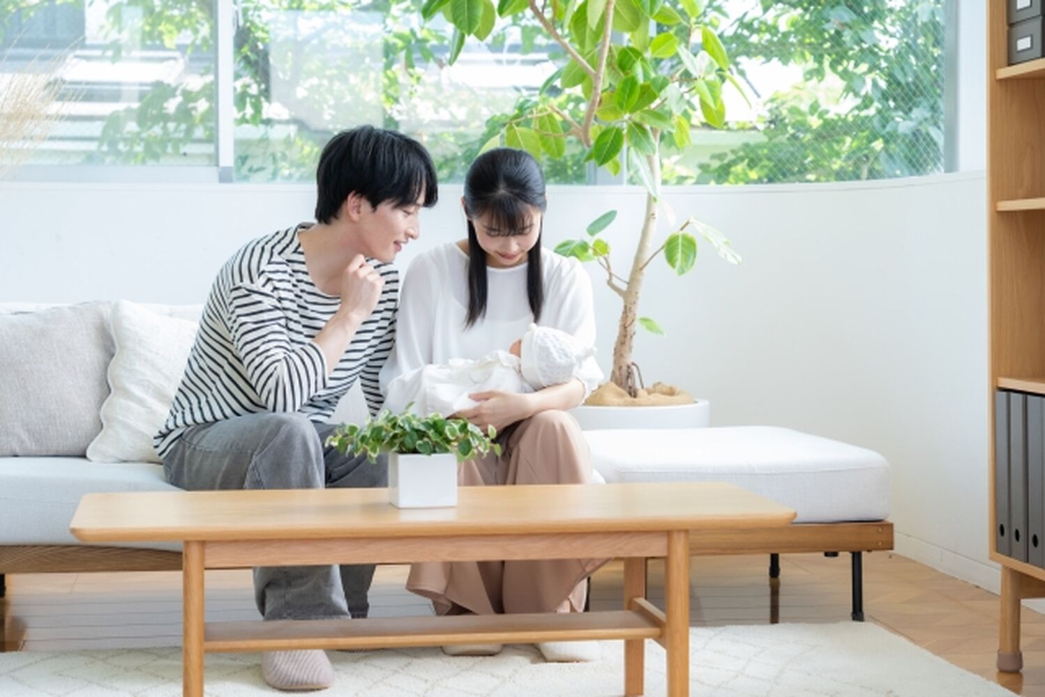画像12527